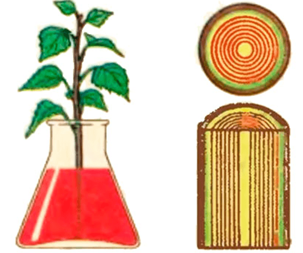 Решение рисунок 1