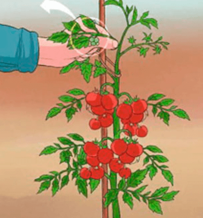 Решение рисунок 1