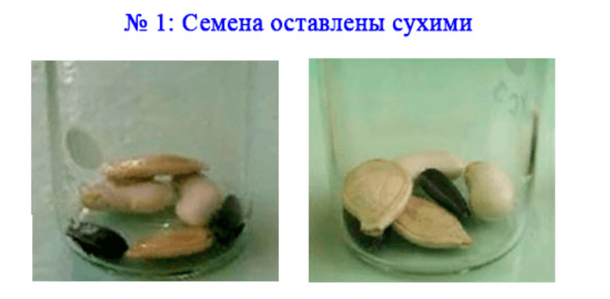 Решение рисунок 1