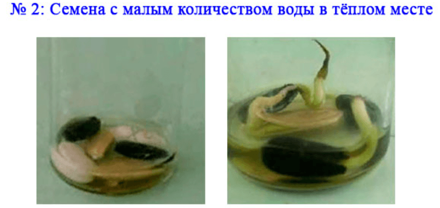 Решение рисунок 2