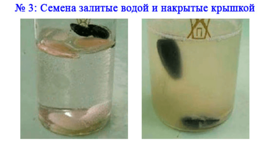 Решение рисунок 3