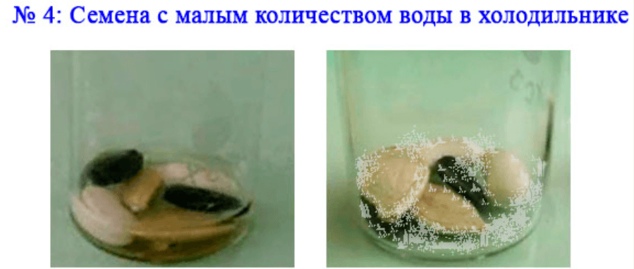 Решение рисунок 4