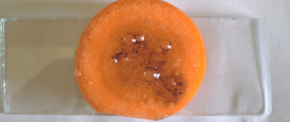 Решение рисунок 2