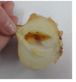 Решение рисунок 3