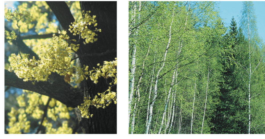 Задание рисунок 1