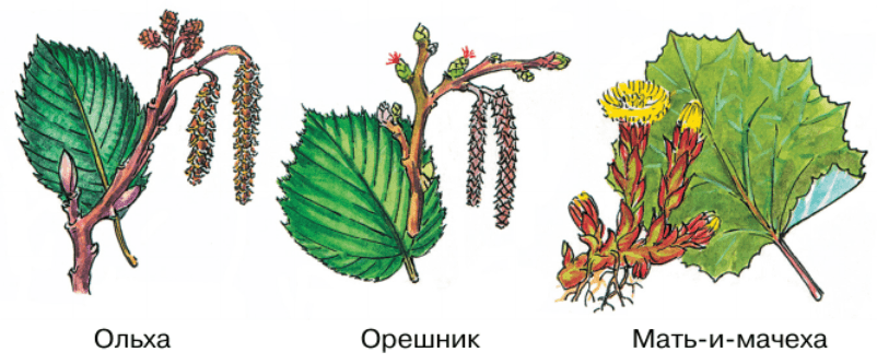 Задание рисунок 2