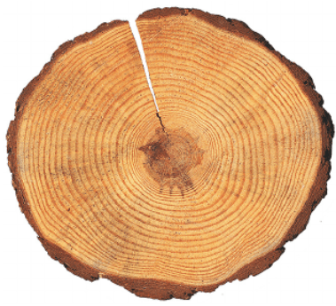 Решение рисунок 1