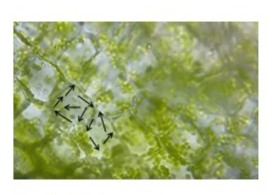 Решение рисунок 2