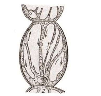 Решение рисунок 3