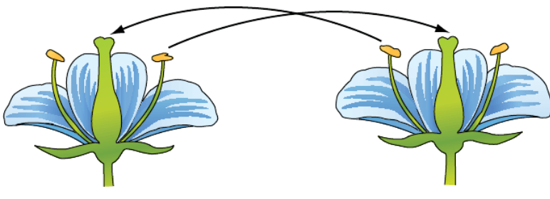 Решение рисунок 2