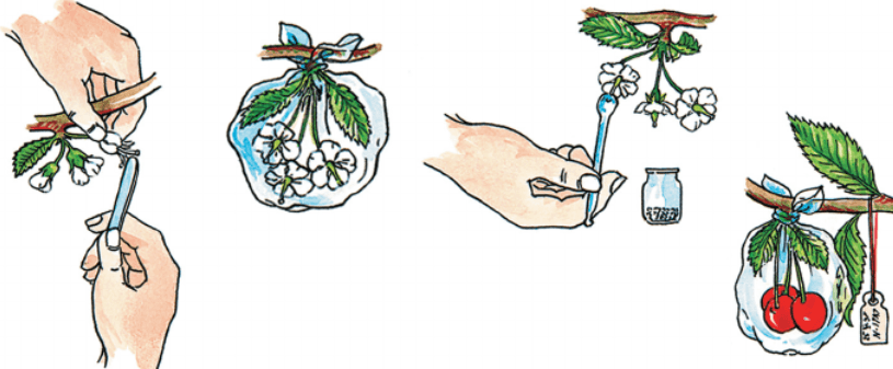 Решение рисунок 3