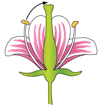 Решение рисунок 1