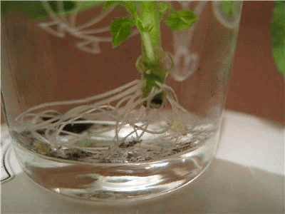 Решение рисунок 3