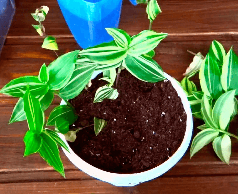 Решение рисунок 4