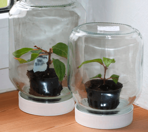 Решение рисунок 5