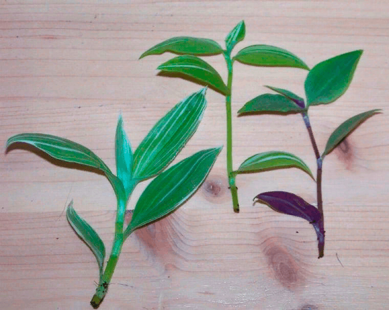 Решение рисунок 1