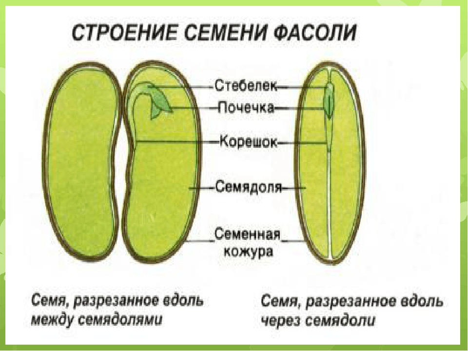 Решение рисунок 1