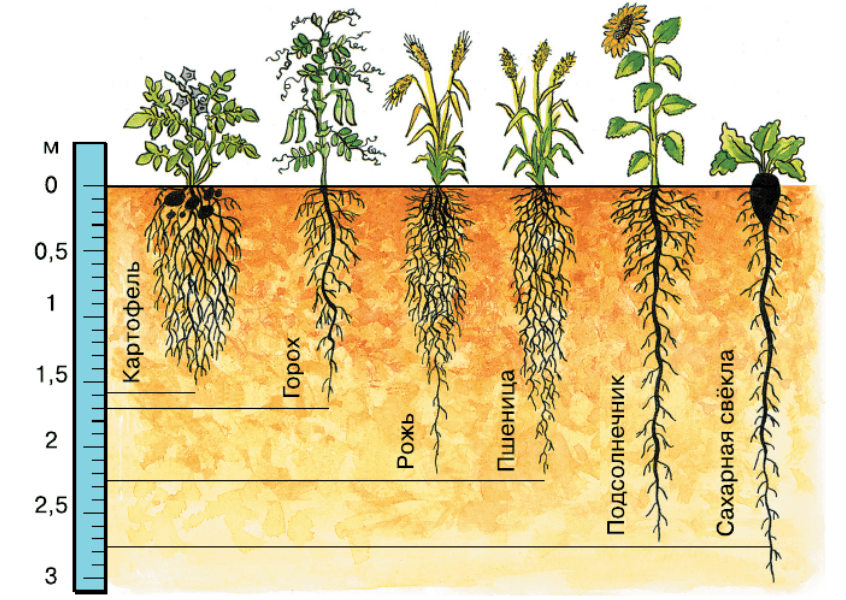 Решение рисунок 1