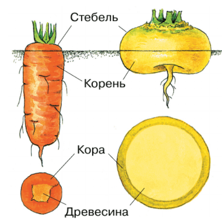 Решение рисунок 3