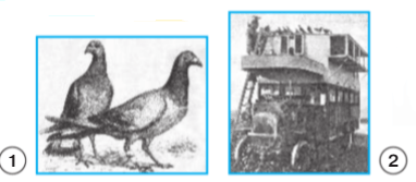 Задание рисунок 1