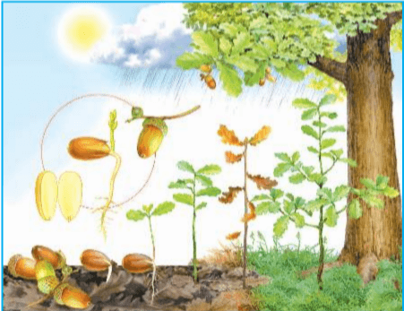 Задание рисунок 1