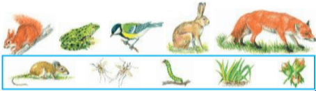 Задание рисунок 1