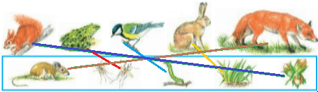 Решение рисунок 1