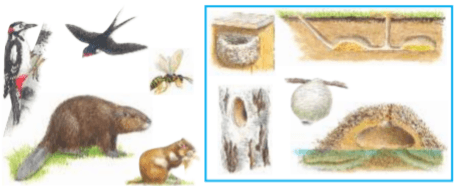 Задание рисунок 1