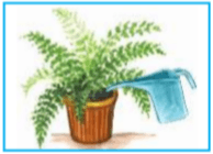 Задание рисунок 1