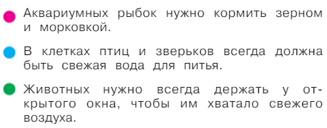 Задание рисунок 1