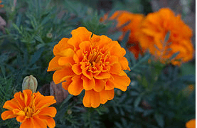 Решение рисунок 2