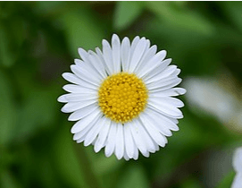 Решение рисунок 3