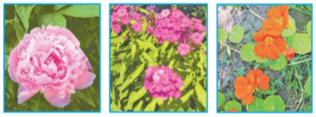 Задание рисунок 1