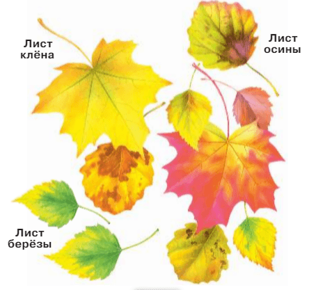 Задание рисунок 1