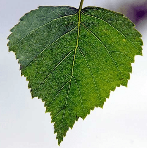 Решение рисунок 2