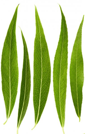 Задание рисунок 3