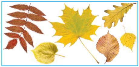 Задание рисунок 1