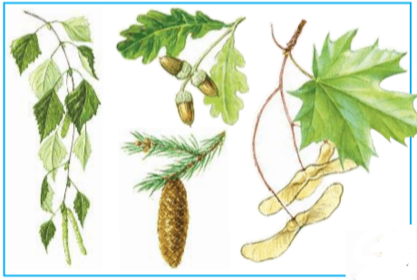 Задание рисунок 1