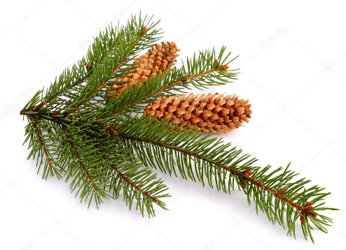 Задание рисунок 2