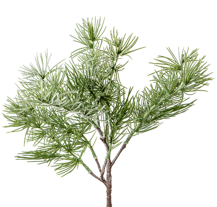 Решение рисунок 1