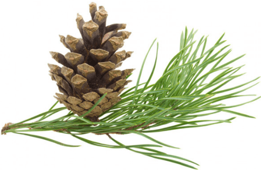 Решение рисунок 4