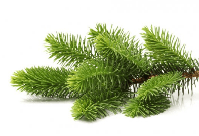 Решение рисунок 2