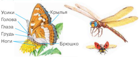 Задание рисунок 1