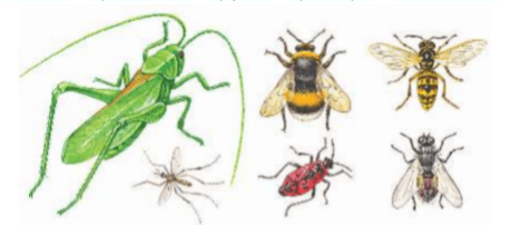 Задание рисунок 1