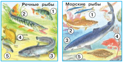 Задание рисунок 1