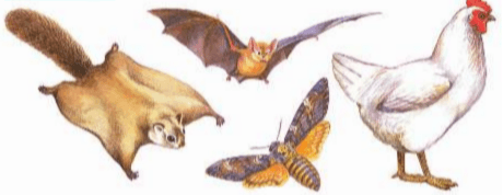 Задание рисунок 1