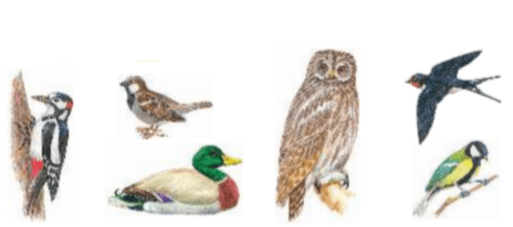 Задание рисунок 1