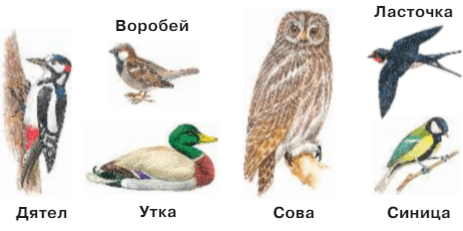 Решение рисунок 1