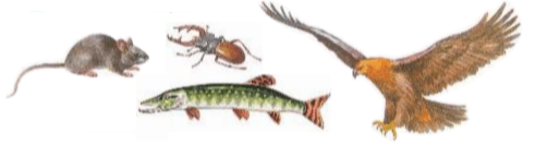 Задание рисунок 1