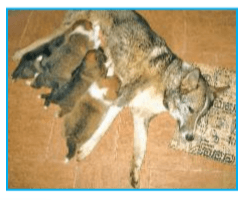 Задание рисунок 2